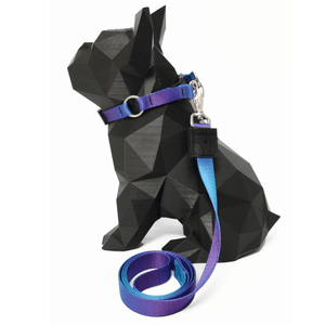 Coleira e Guia Estampa Aurora P