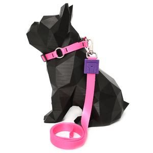 Coleira e Guia Estampa Pink P