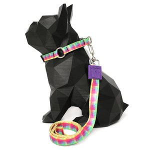 Coleira e Guia Estampa Piquenique P