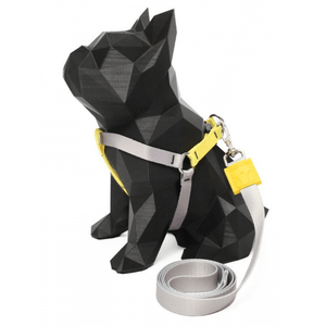 Peitoral Americano e Guia Estampa Astolfo PP