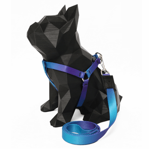 Peitoral Americano e Guia Estampa Aurora P