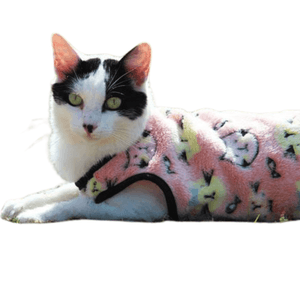 Blusa My Dream Cat P Pickorruchos