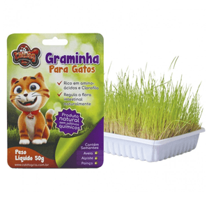 Graminha para Gatos CatDog – 50 g