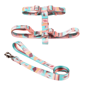 Conjunto Peitoral H Toh Atacama G