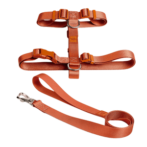 Conjunto Peitoral H Toh Coral P