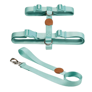 Conjunto Peitoral H Toh Maresia G