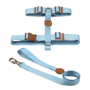 Conjunto Peitoral H Toh Azul P