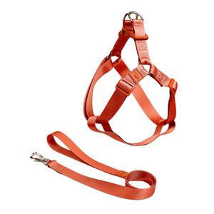 Conjunto Peitoral Step In Toh Coral P