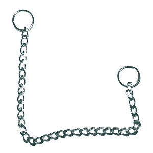 Enforcador Exposição Chato 3,5 por 50cm para Cães