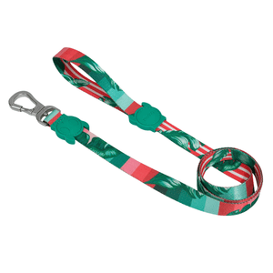 Guia para Cachorros Bali PP - Zee.Dog