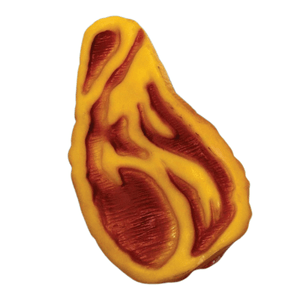 Brinquedo Pet Mordedor Filé