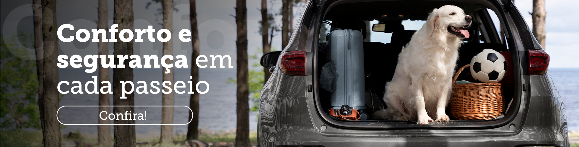 Passeio com pet